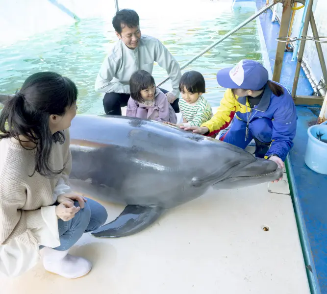 鳥羽湾めぐりとイルカ島